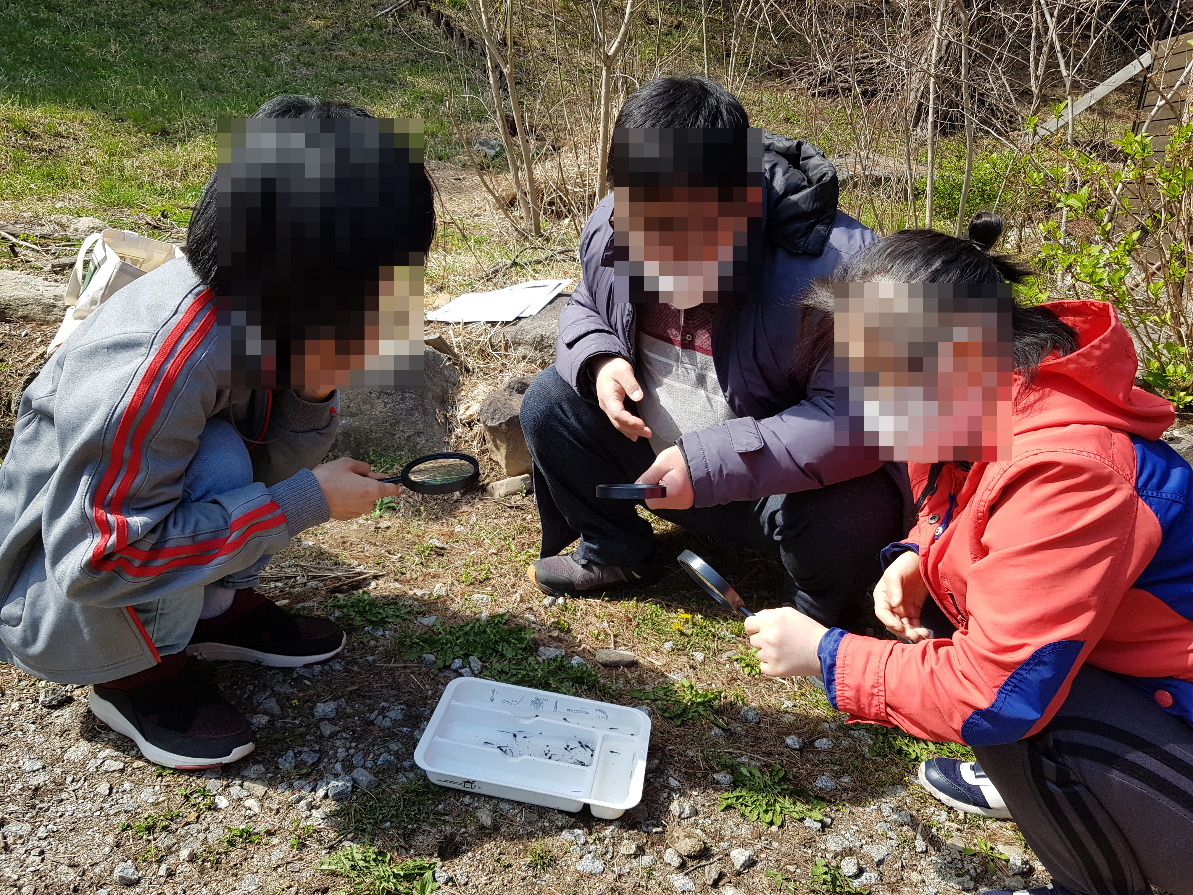 숲체험1(4.08).jpg