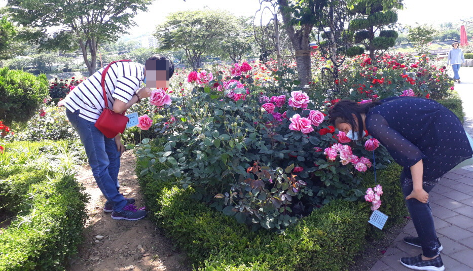 푸른나래, 나래교실_20200601_장미공원 현장학습장미공원 현장학습2.jpg